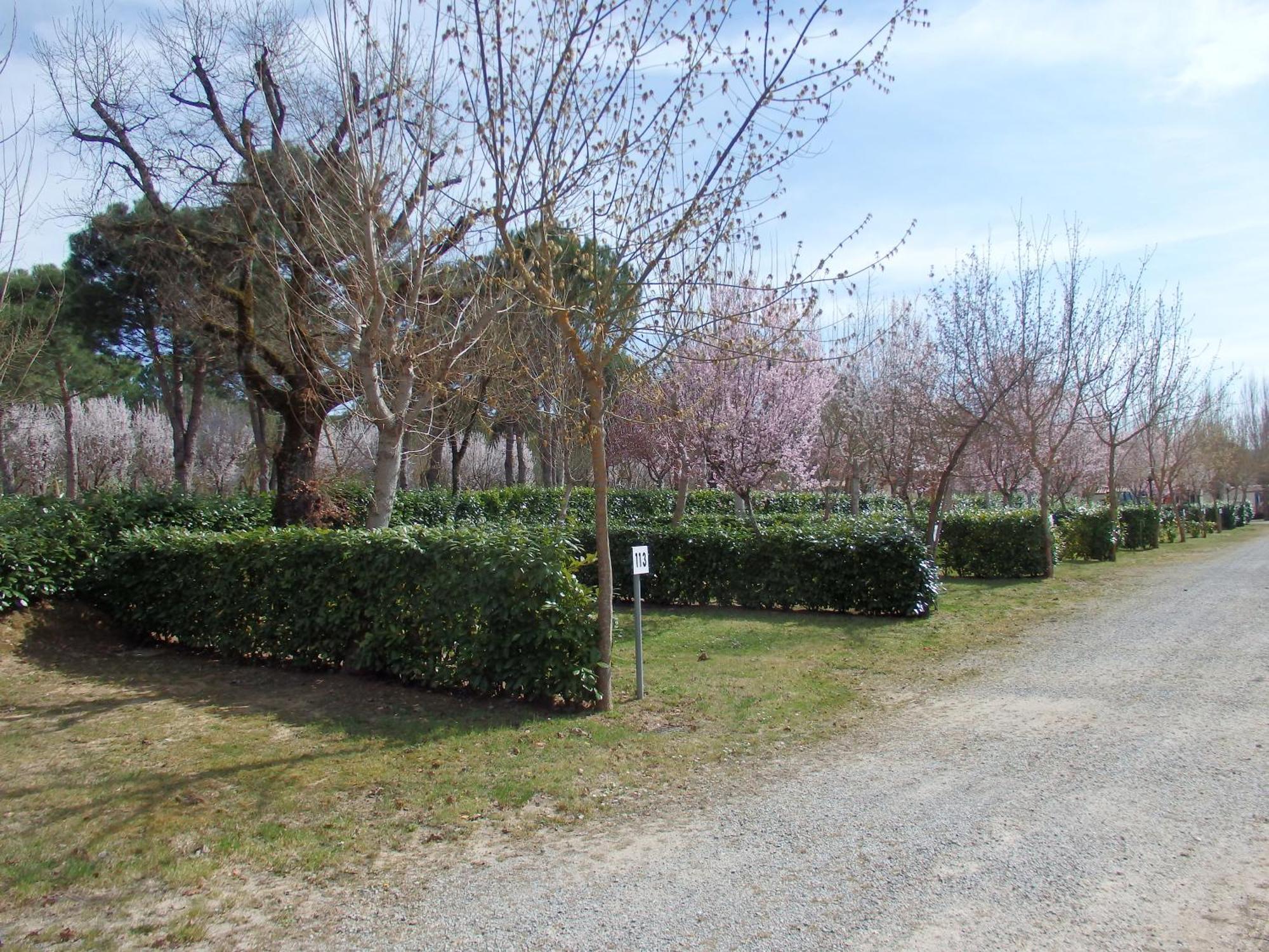 Camping Village La Chiocciola Capannole Kültér fotó